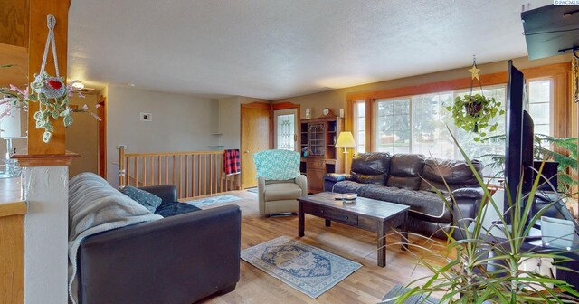 519 S Irby St, Kennewick, WA 99336 - photo 6