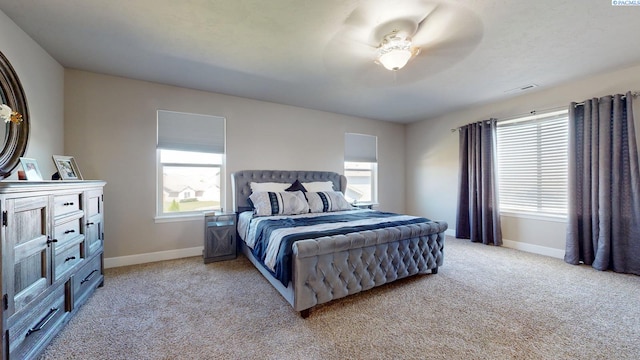 5802 Sidon Ln, Pasco, WA 99301 - photo 15
