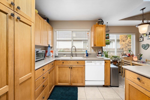 kitchen with a healthy amount of sunlight, white dishwasher, light countertops, and a sink