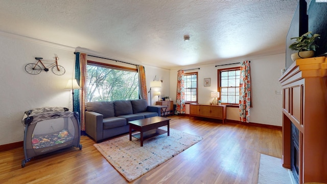 420 SE Dexter St, Pullman, WA 99163 - living area featuring baseboards, wood finished floors, and a textured ceiling