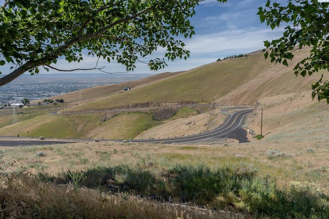 23400 Windy Ridge Ln, Lewiston, ID 83501 - photo 47