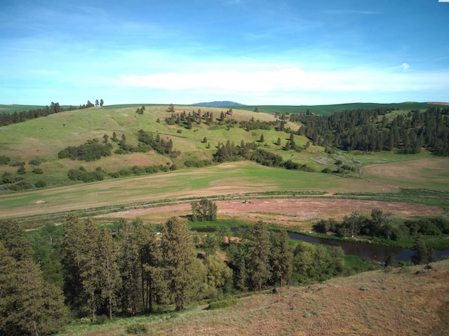 204 Red Tail Ridge Rd, Colfax, WA 99111 - view of mountain background