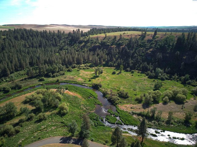 204 Red Tail Ridge Rd, Colfax, WA 99111 - drone / aerial view of a forest