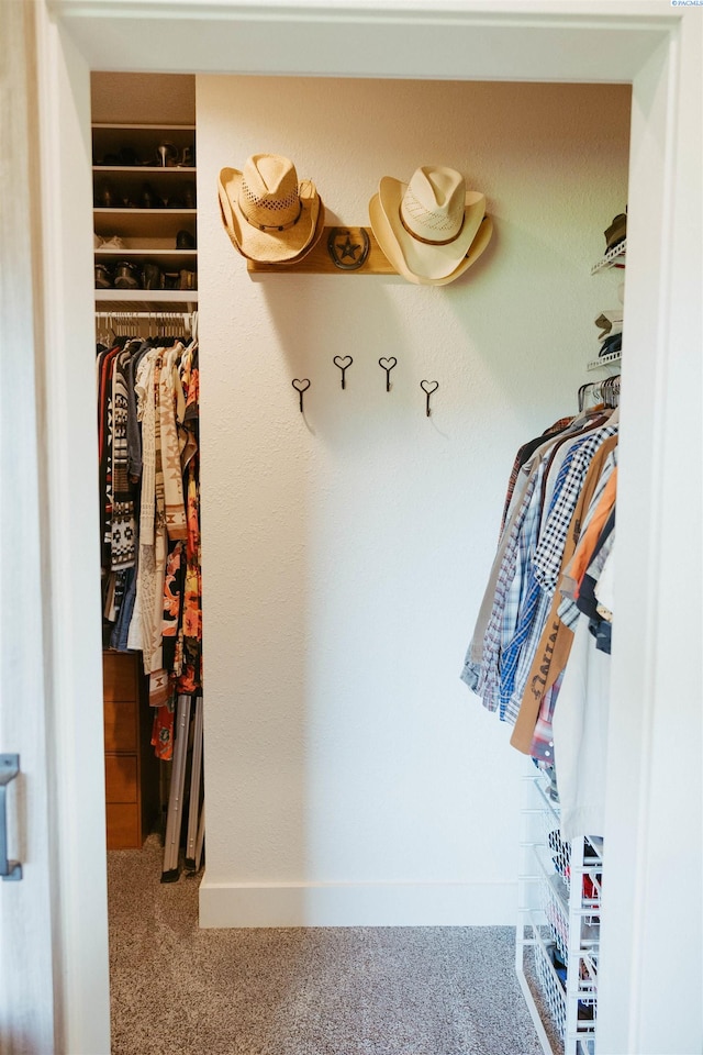 spacious closet featuring carpet flooring