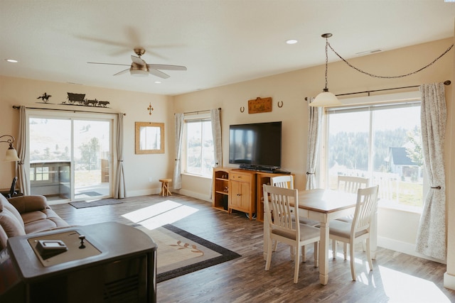 living room with ceiling fan and wood-type flooring