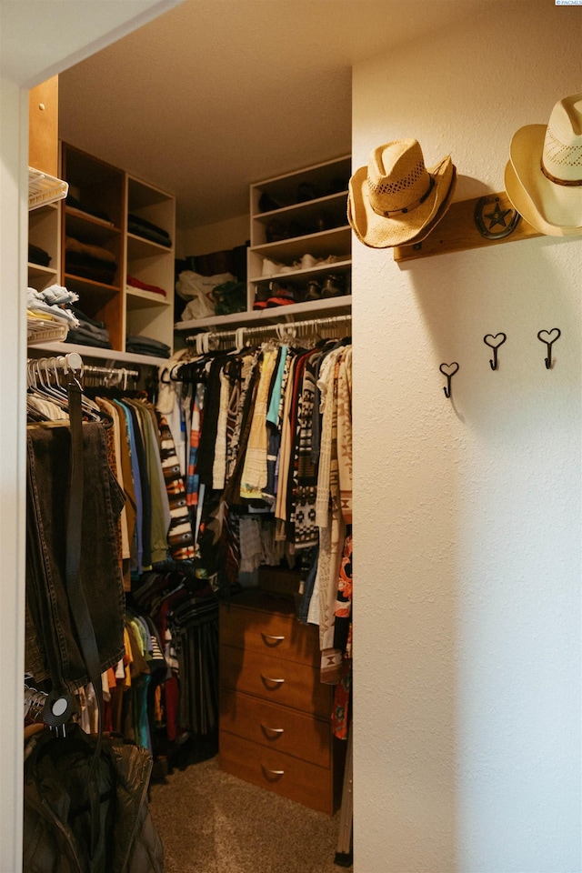 walk in closet featuring carpet flooring