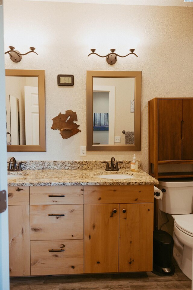 bathroom featuring vanity, wood-type flooring, and toilet