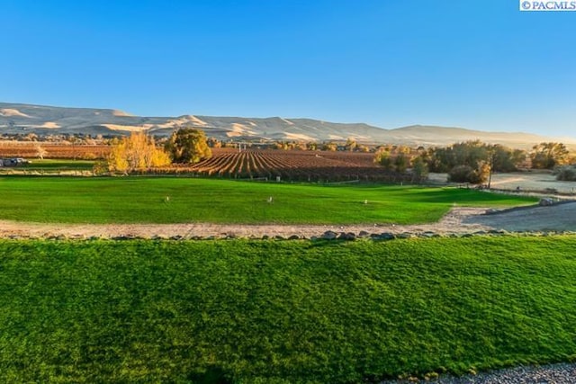 view of home's community featuring a mountain view, a lawn, and a rural view