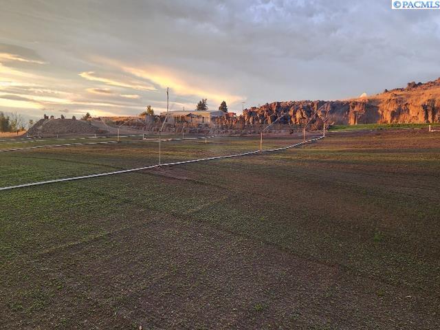 view of yard at dusk