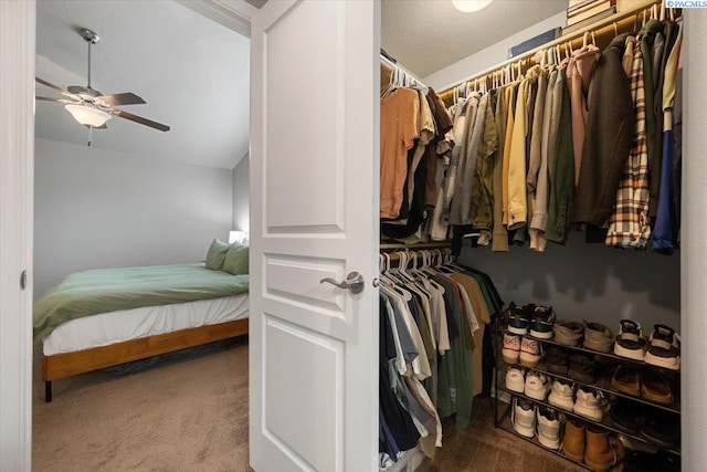 2909 S Jean St, Kennewick, WA 99336 - walk in closet with carpet, a ceiling fan, and vaulted ceiling