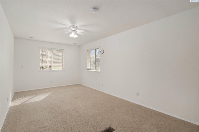 90403 W Hess Rd, Prosser, WA 99350 - photo 28