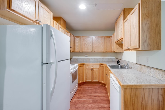 815 NE Illinois St, Pullman, WA 99163 - photo 10