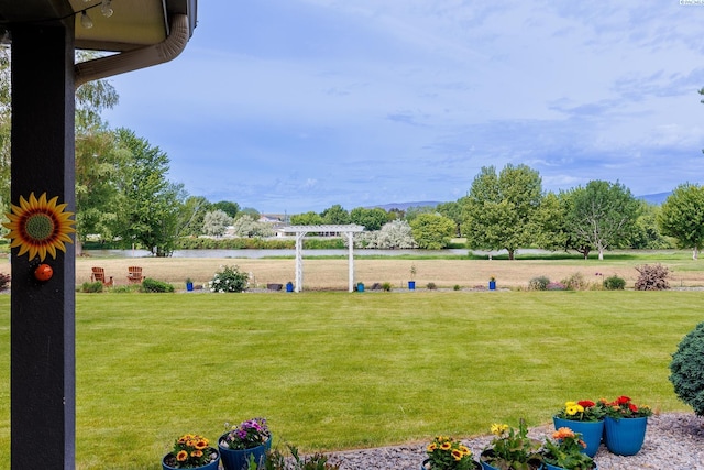 view of yard featuring a pergola