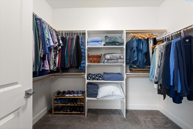 325 Soaring Hawk, Richland, WA 99352 - spacious closet with carpet flooring