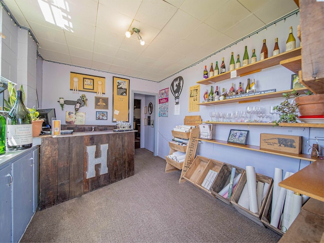 bar featuring carpet flooring