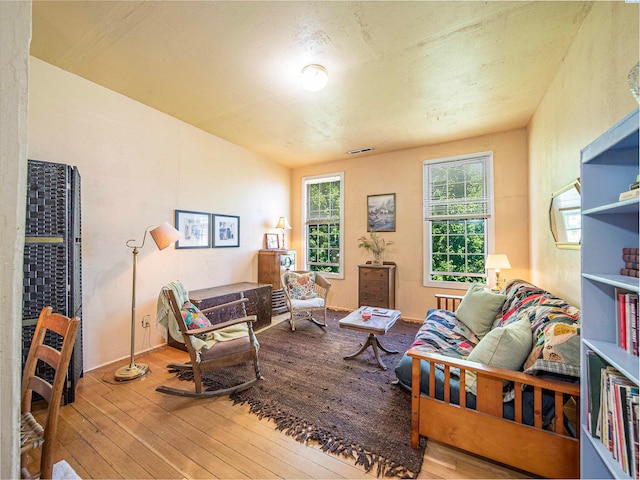 living room featuring wood-type flooring