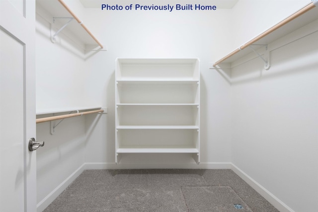 spacious closet featuring carpet flooring