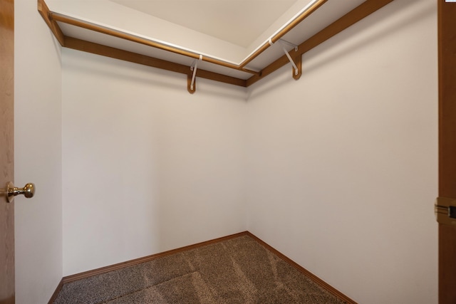 3809 W 19th Ct, Kennewick, WA 99336 - photo 11