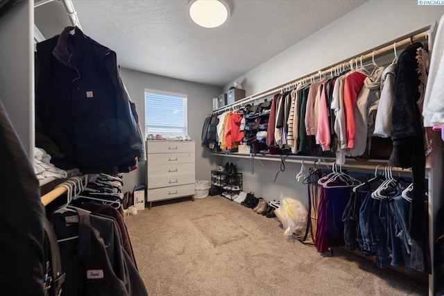 234 Ladera St, Prosser, WA 99350 - walk in closet with carpet flooring
