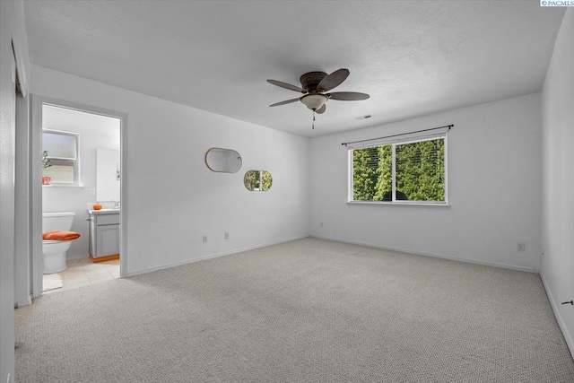 9815 Chelan Ct, Pasco, WA 99301 - photo 16
