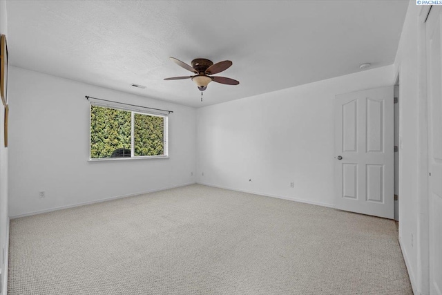 9815 Chelan Ct, Pasco, WA 99301 - photo 18