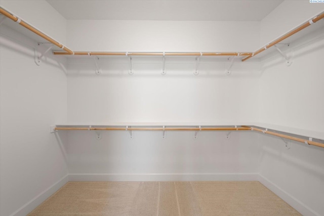 7136 W 28th Pl, Kennewick, WA 99338 - spacious closet featuring light carpet