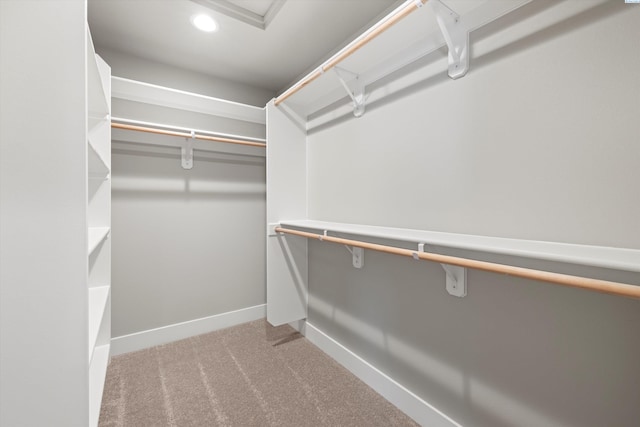 spacious closet with light colored carpet