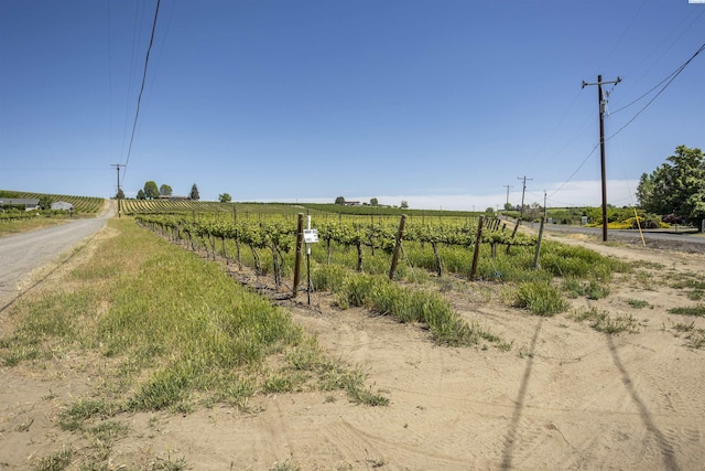 TBD Wilson Hwy, Grandview, WA 98930 - photo 10