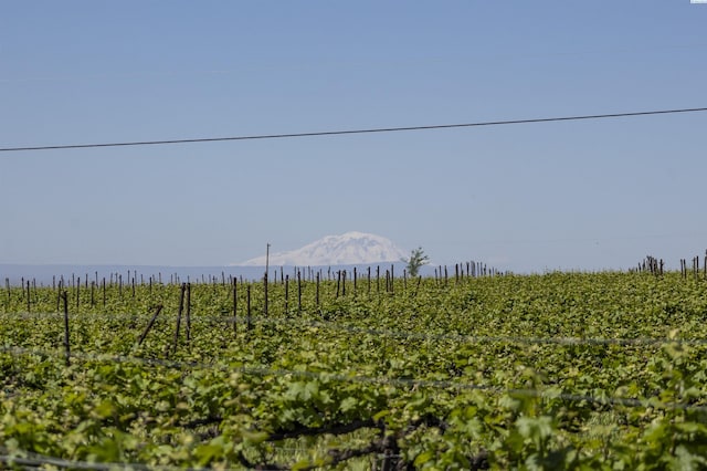 TBD Wilson Hwy, Grandview, WA 98930 - photo 15