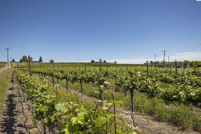 TBD Wilson Hwy, Grandview, WA 98930 - photo 11