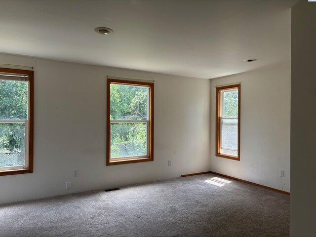 430 SE Kamiaken St, Pullman, WA 99163 - photo 24
