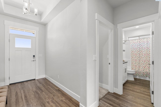 entryway with baseboards, a tray ceiling, and wood finished floors