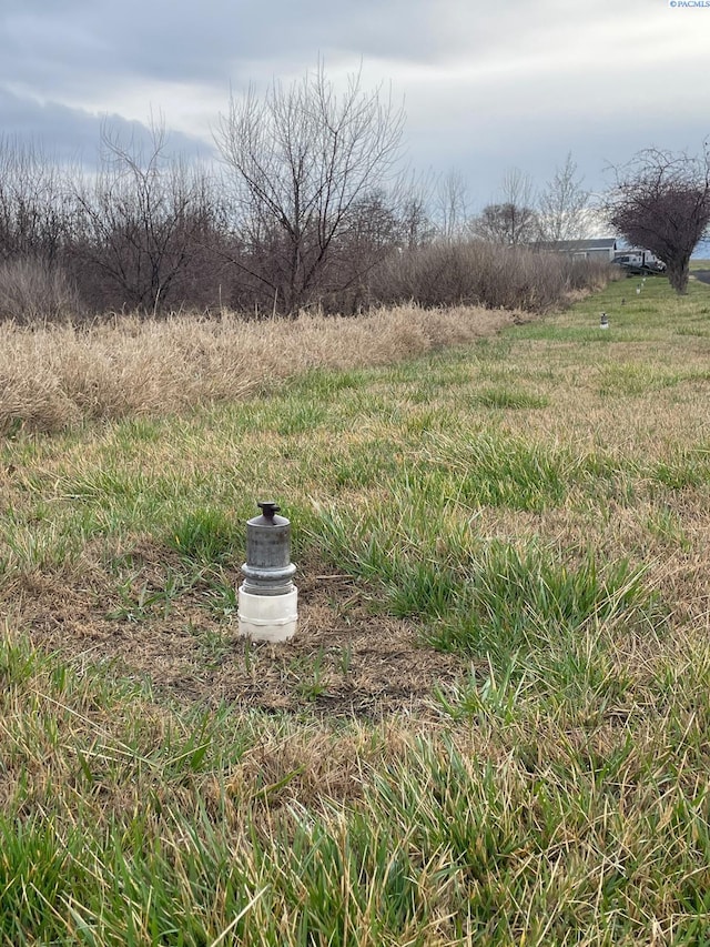 21809 N Bunn Rd, Prosser, WA 99350 - photo 3