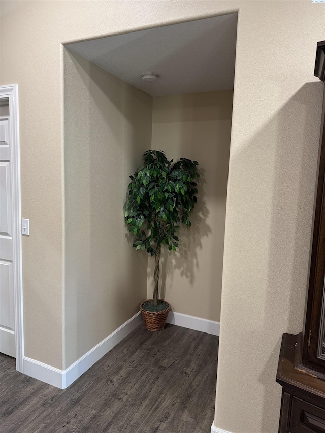 details featuring wood finished floors and baseboards