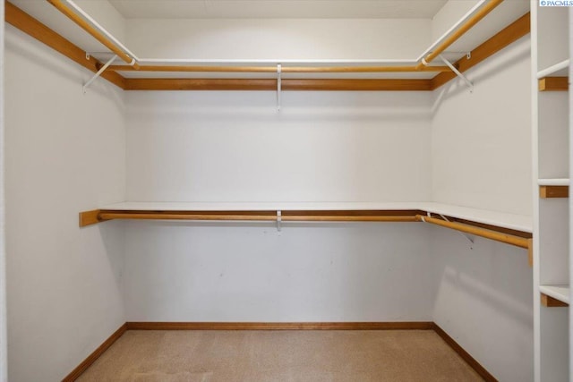 walk in closet featuring carpet floors