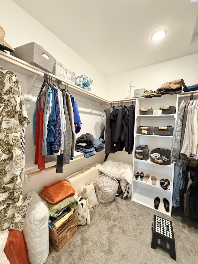 walk in closet with carpet flooring