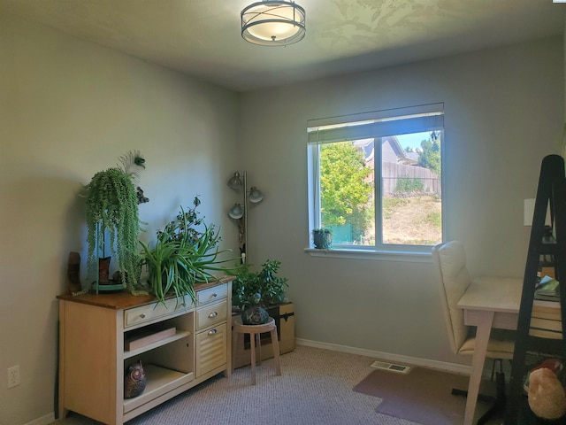 1950 NW Valhalla Dr, Pullman, WA 99163 - photo 11