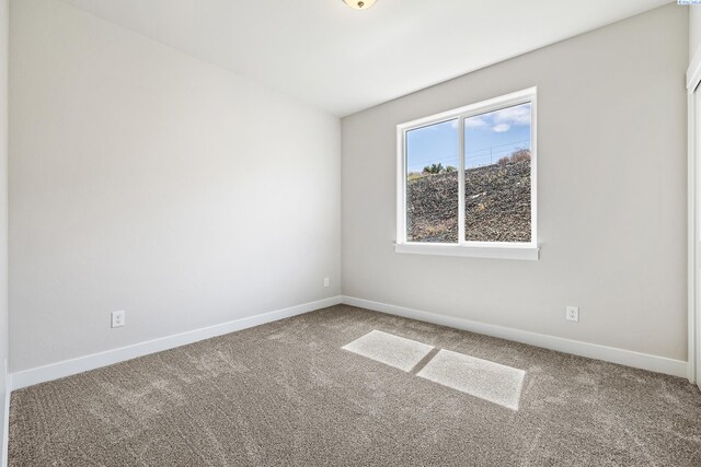 1072 Makah Ct, Richland, WA 99352 - photo 23