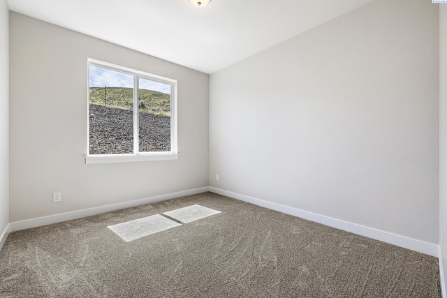 1072 Makah Ct, Richland, WA 99352 - photo 21