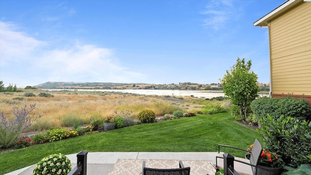 3192 Willow Pointe Dr, Richland, WA 99354 - photo 41