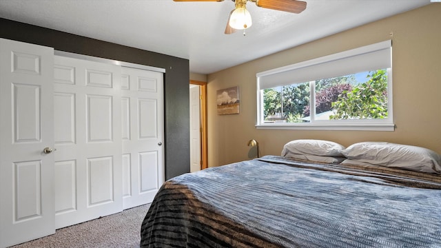 4959 W Skagit Ave, Kennewick, WA 99336 - photo 12