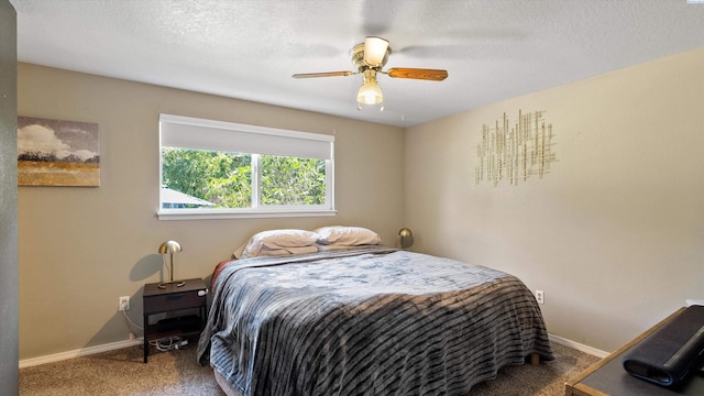 4959 W Skagit Ave, Kennewick, WA 99336 - photo 11