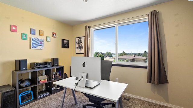 4959 W Skagit Ave, Kennewick, WA 99336 - photo 16