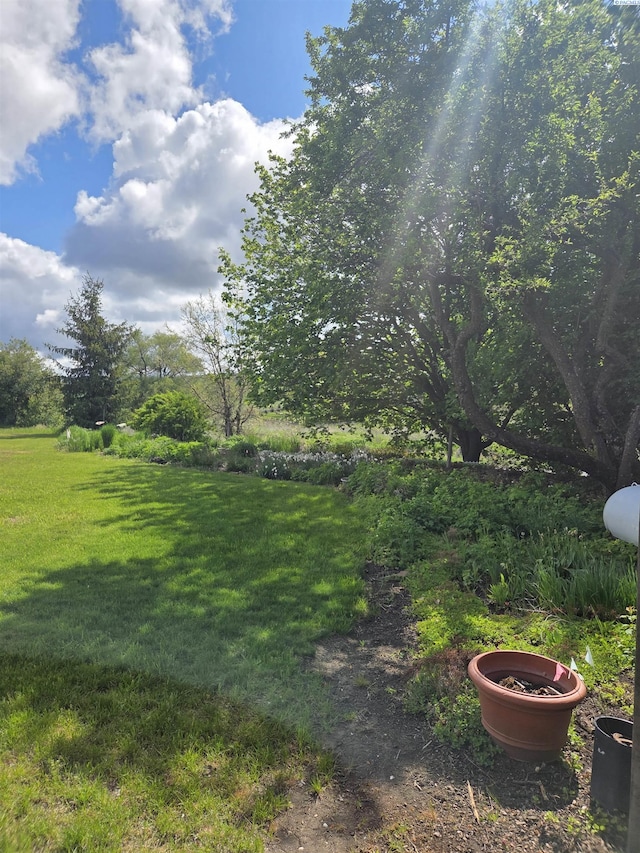 6302 Sand Rd, Pullman, WA 99163 - view of green lawn