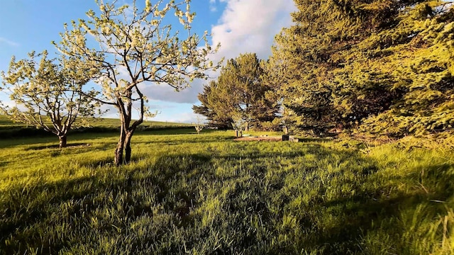 6302 Sand Rd, Pullman, WA 99163 - view of yard featuring a rural view