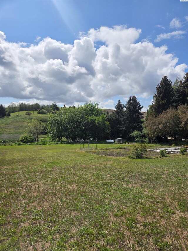 6302 Sand Rd, Pullman, WA 99163 - view of grassy yard