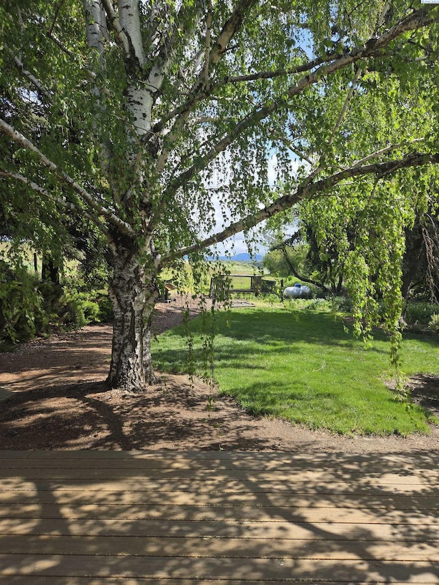 6302 Sand Rd, Pullman, WA 99163 - view of green lawn