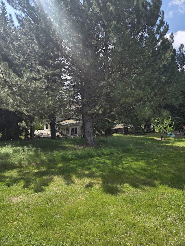 6302 Sand Rd, Pullman, WA 99163 - view of green lawn