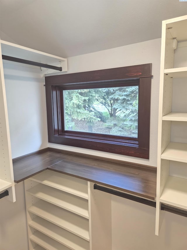 6302 Sand Rd, Pullman, WA 99163 - view of spacious closet