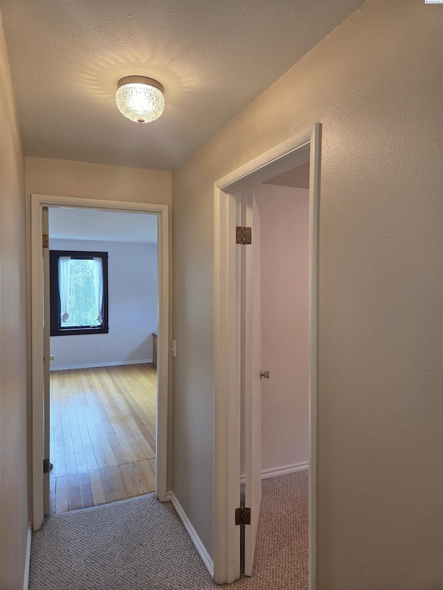 6302 Sand Rd, Pullman, WA 99163 - corridor with carpet, baseboards, and a textured ceiling